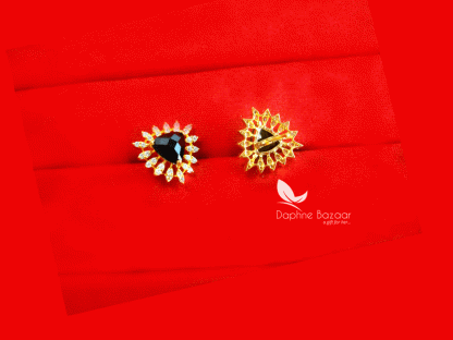ZE15, Black Zircon Studded Gold Plated Earrings for Women - Back View